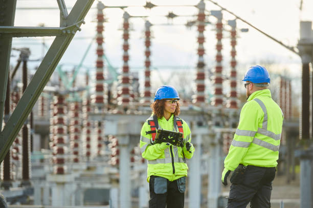 Best Generator Installation Services  in Odem, TX