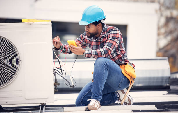 Best Electric Panel Repair  in Odem, TX